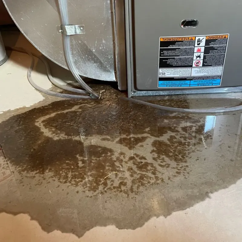 Pipe Burst and Leak Restoration in Buchanan Dam, TX