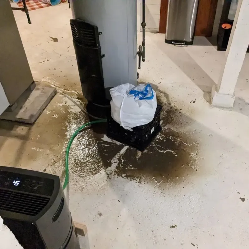 Sewage Backup Cleanup Service in Buchanan Dam, TX